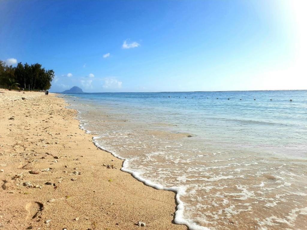 Sunkissed - Brand New Beach Apartment Located 50M From Beach Flic en Flac Экстерьер фото